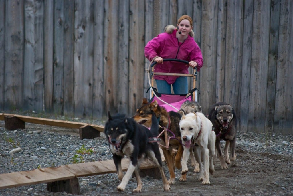 Seavey's Dog Sled Rodeo Anchorage Alaska
