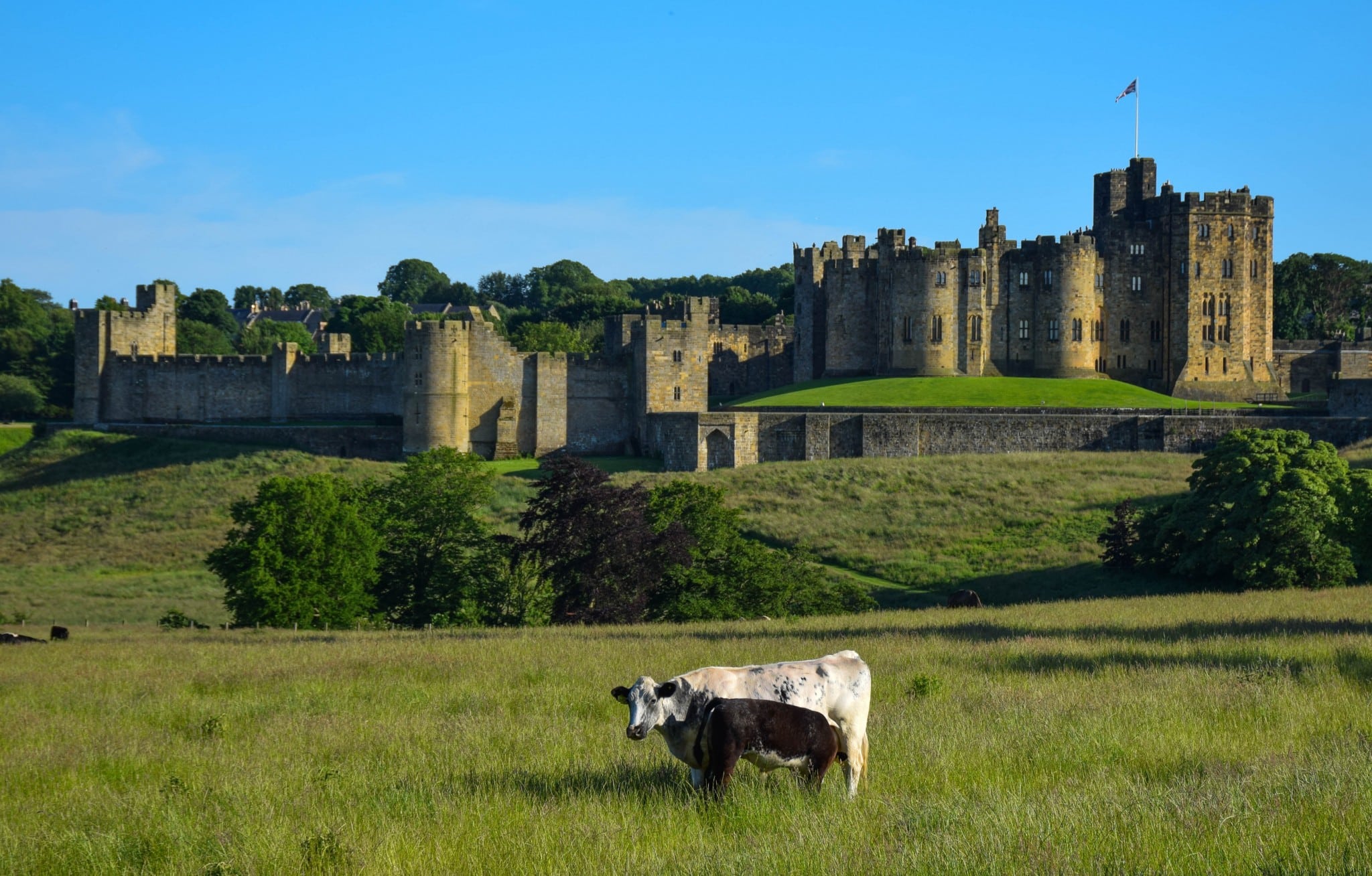Alnwick Castle Harry Potter England