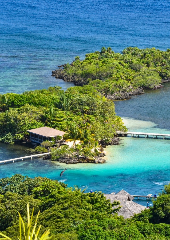 Bailey's Key Roatan Institute for Marine Sciences RIMS