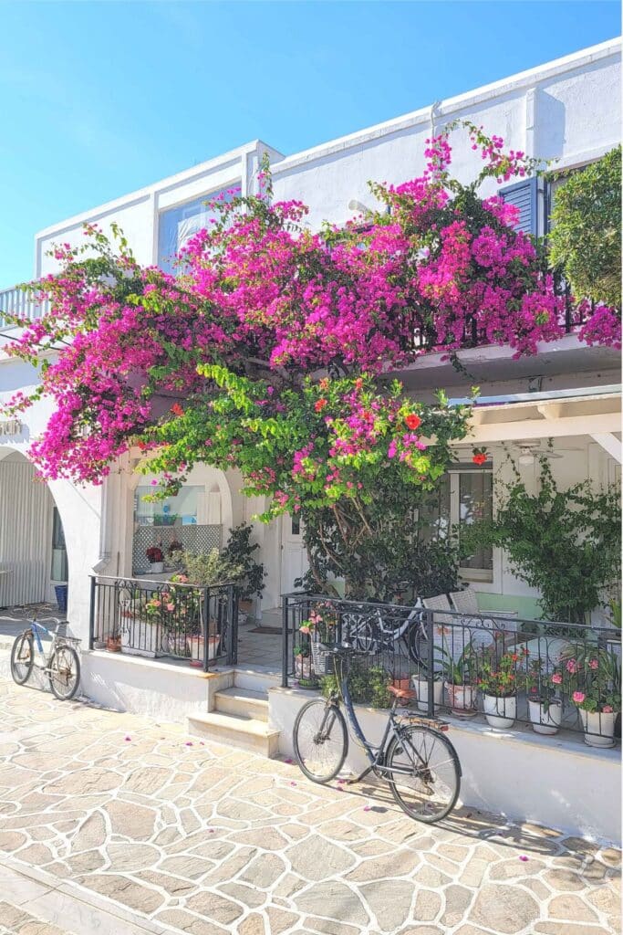 AntiParos Town Street Greece