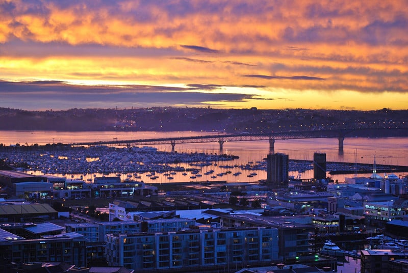 Auckland at Altitude