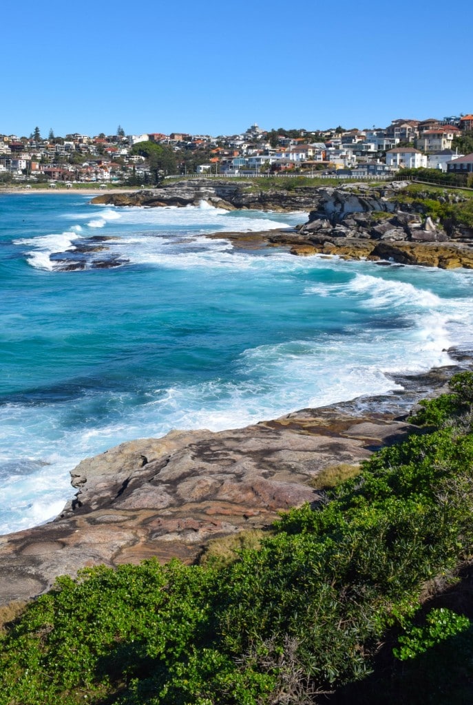 Bondi to Bronte Coastal Walk