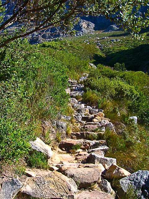 Table Mountain Hike Platteklip Gorge Cape Town