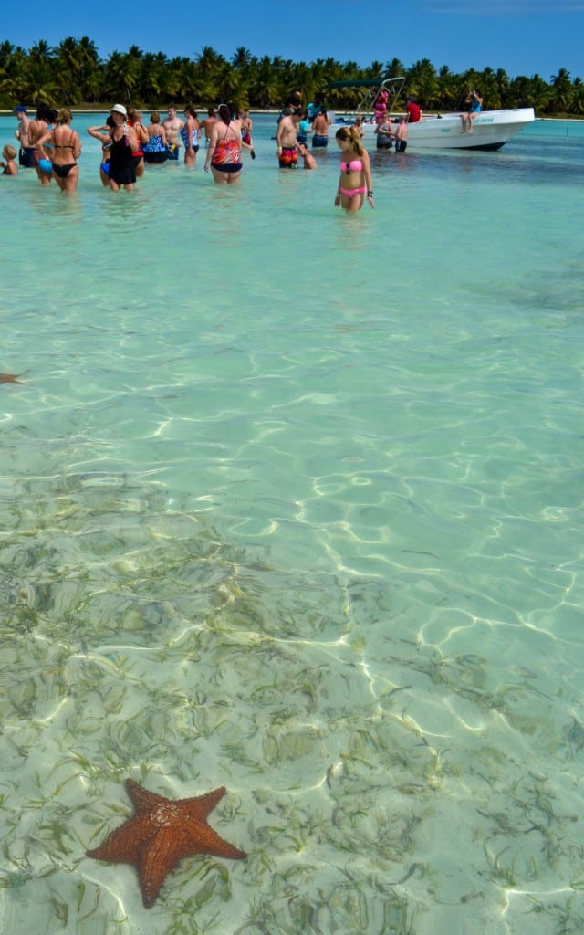 Starfish Piscina Natural Dominican Republic