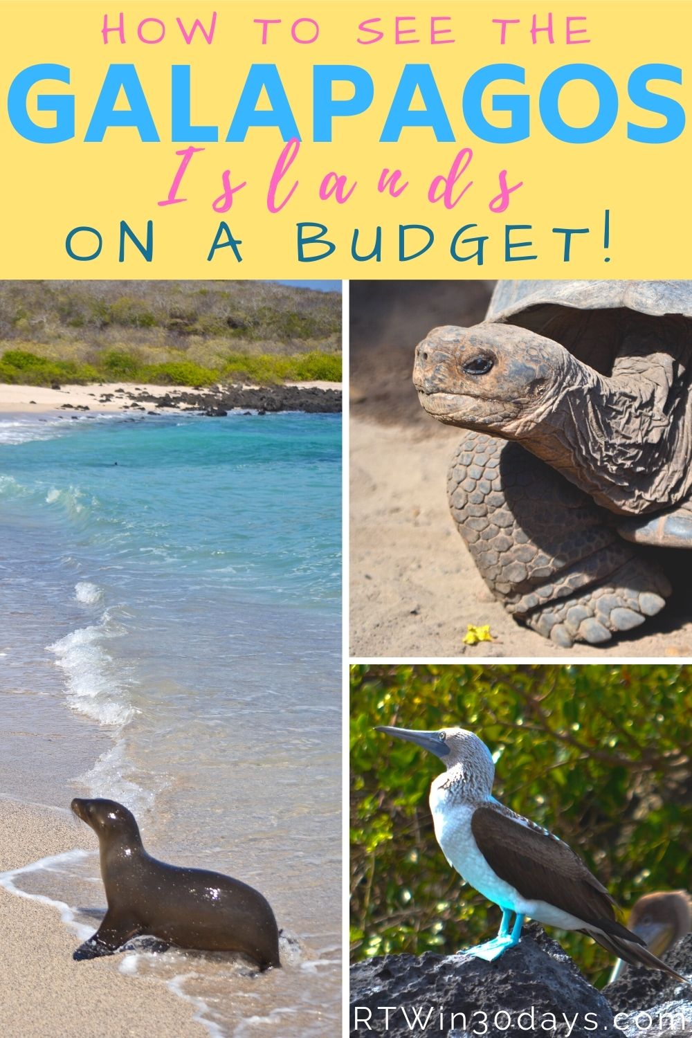 Galapagos Islands on a Budget