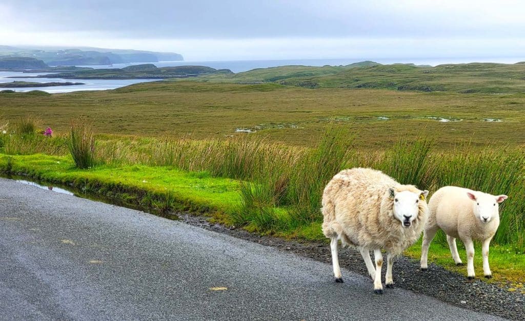Driving on Isle of Skye