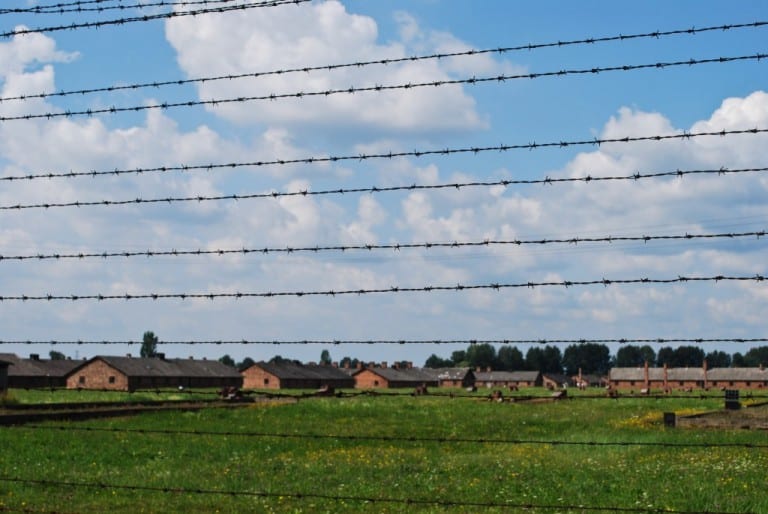 Awed by Auschwitz