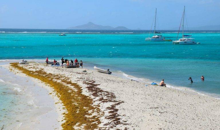 A “Learn to Sail” Caribbean Vacation: From Rookie to Sailor in 7 Days ⛵