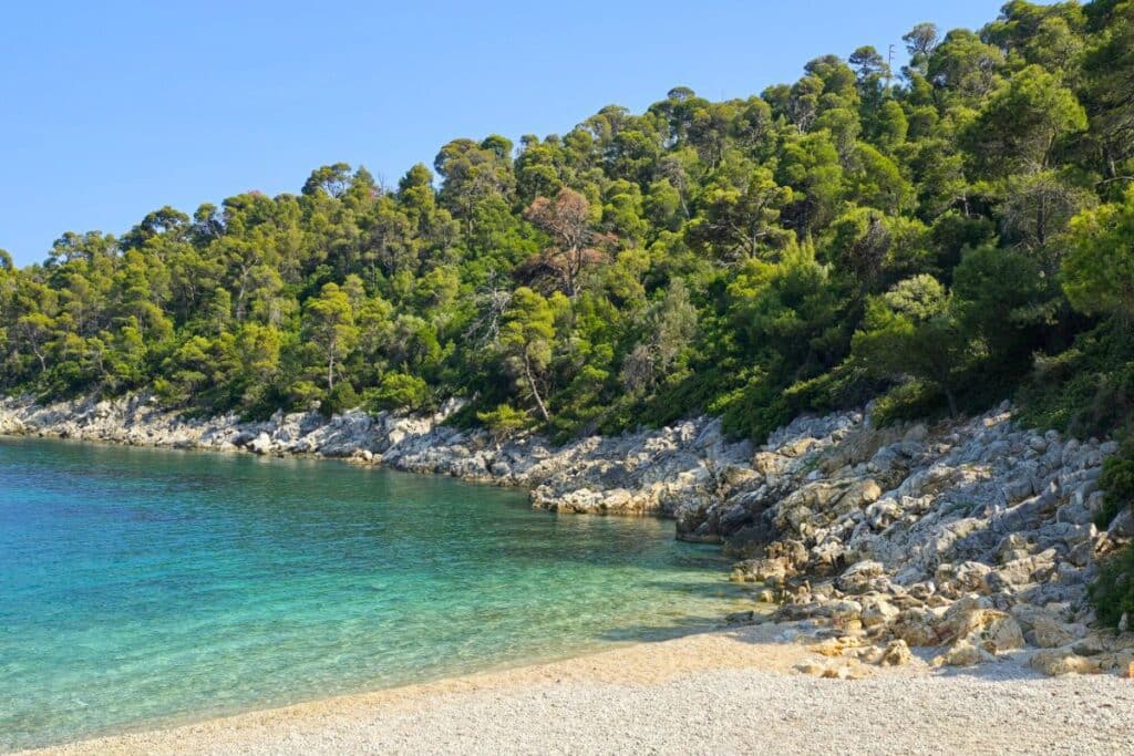 Pine covered hills surround Leftos Gialos Beach