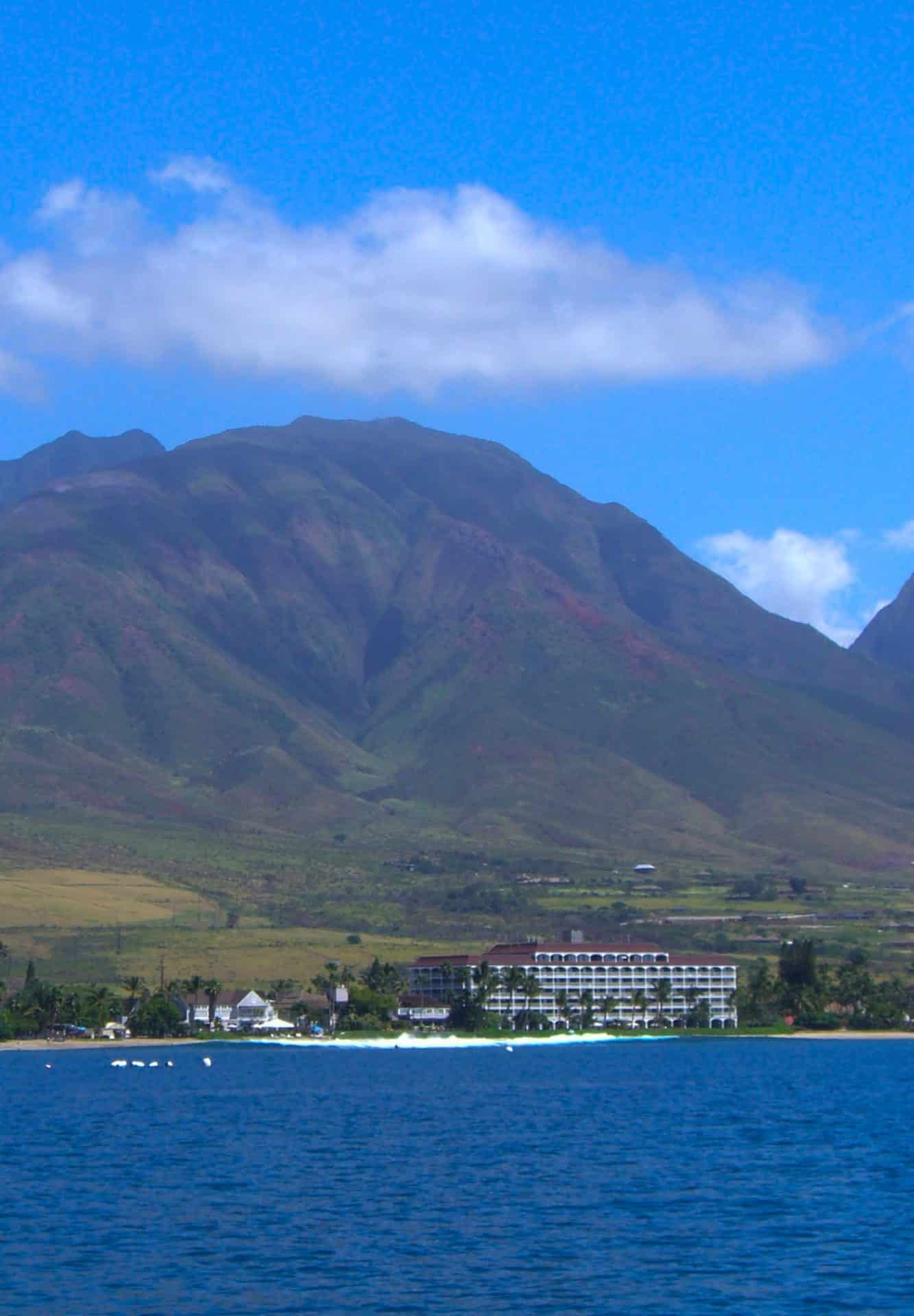 whale watching maui hawaii