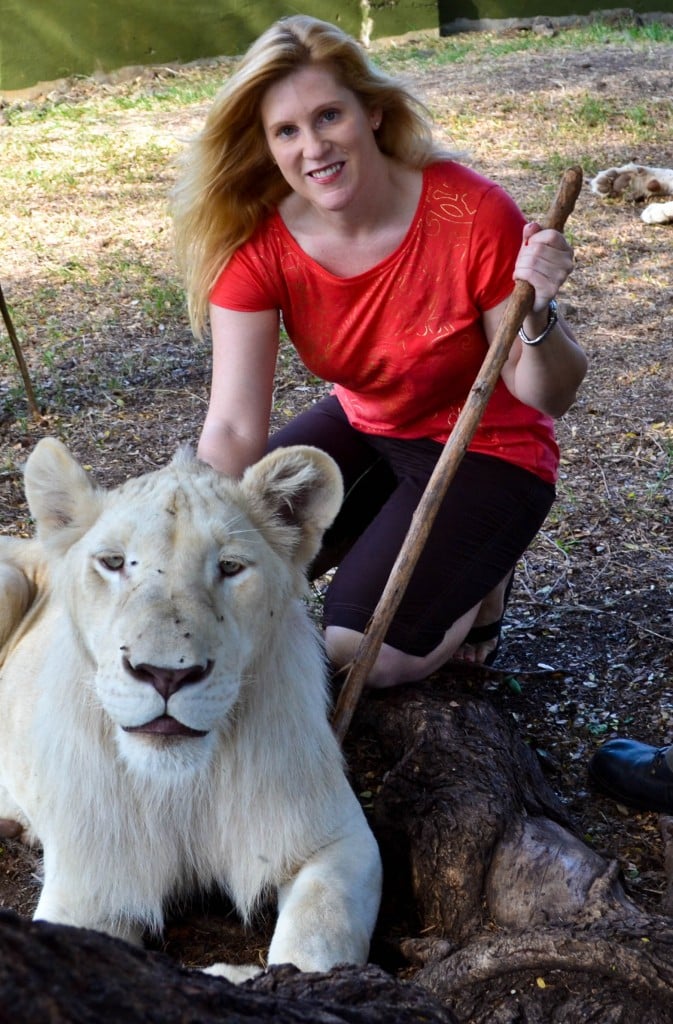 Lion encounter Casela Nature Park Mauritius