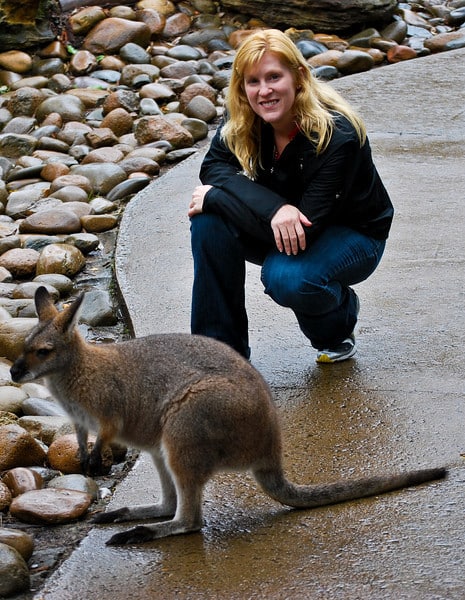 Wallaby Taronga Zoo Sydney
