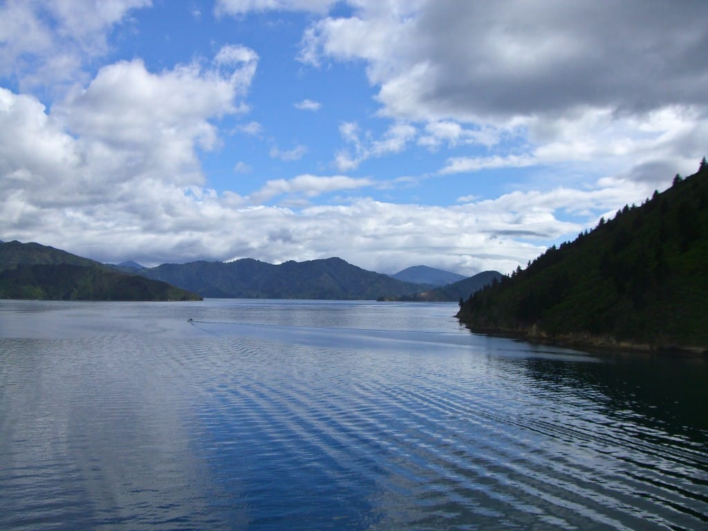 Interisland ferry New Zealand