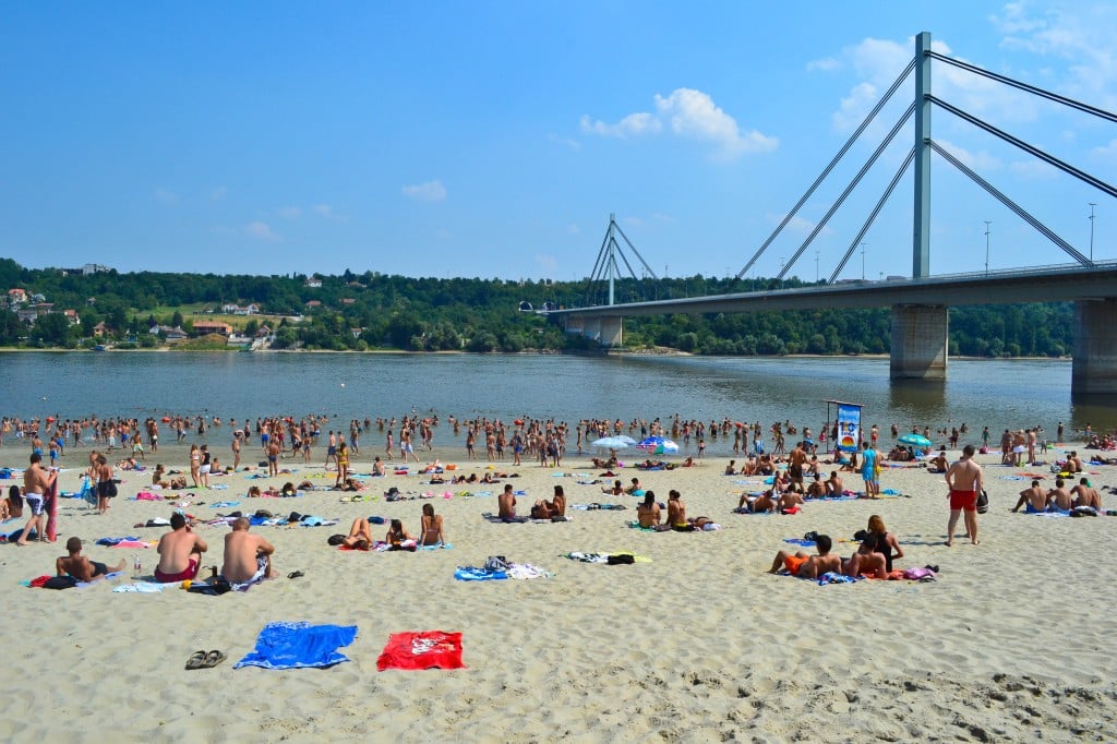 Strand Beach Liberty Bridge Novi Sad Serbia