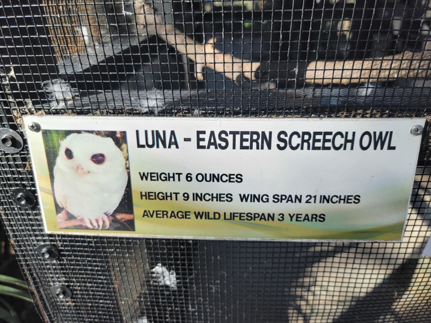 Peace River Wildlife Center Punta Gorda