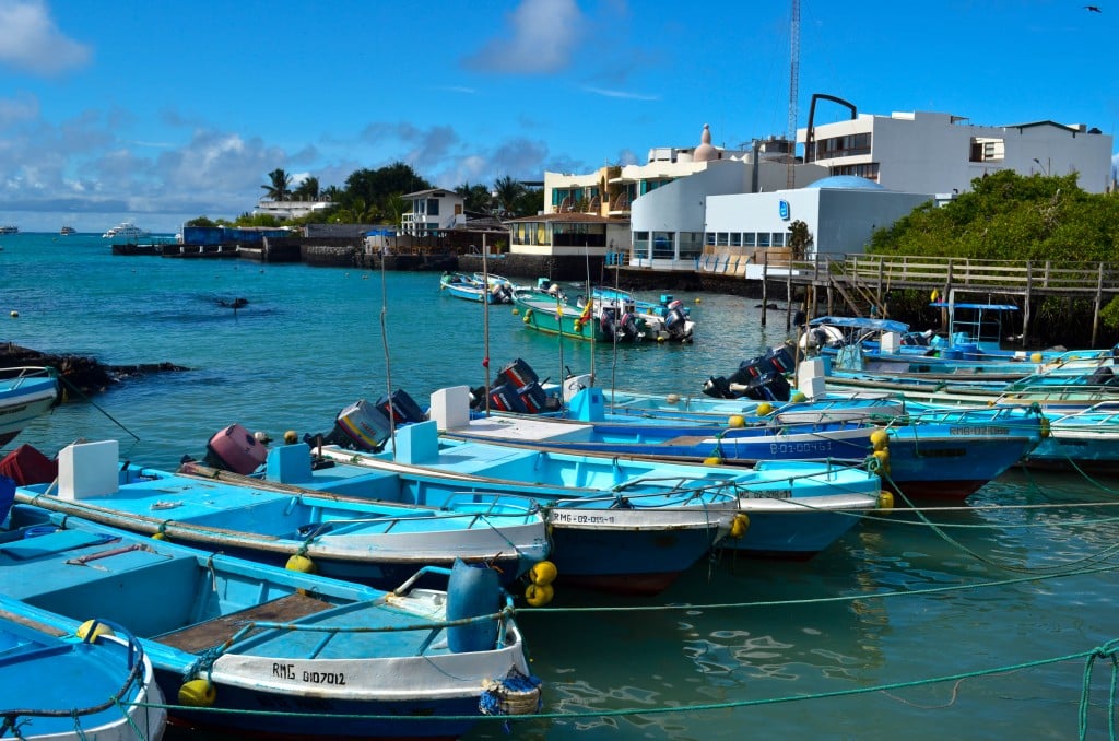 Puerto Ayora Santa Cruz Galapagos
