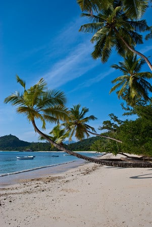 Get Ready for the Summer of Central America!