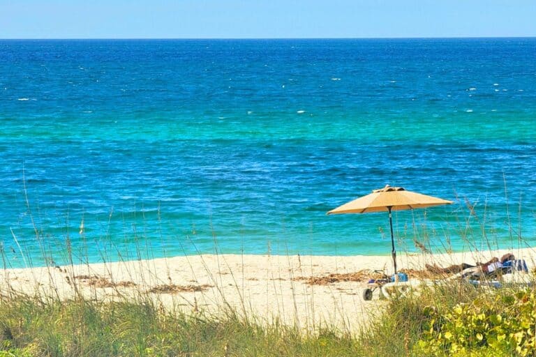 The Secluded Florida Barrier Island of Casey Key is Home to a Literary Legend (& You’ve Never Heard of It)