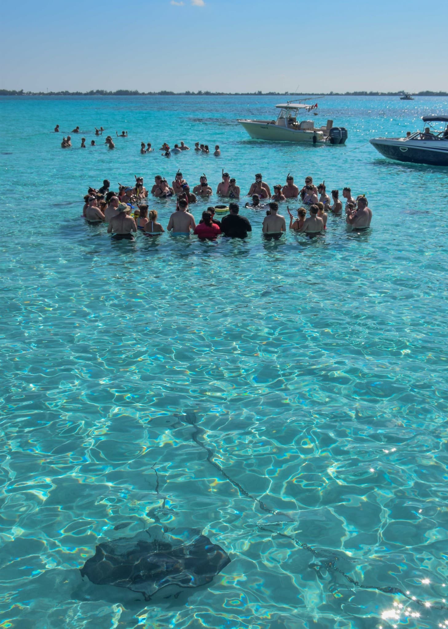 Stingray City Grand Cayman