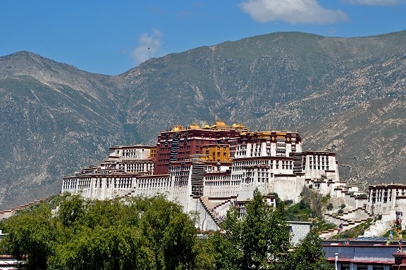 Goodbye, Atlanta…Hello, Summer of Asia!