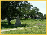 4306-Pict0676.jpg