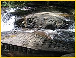 1755-Img_8575.jpg