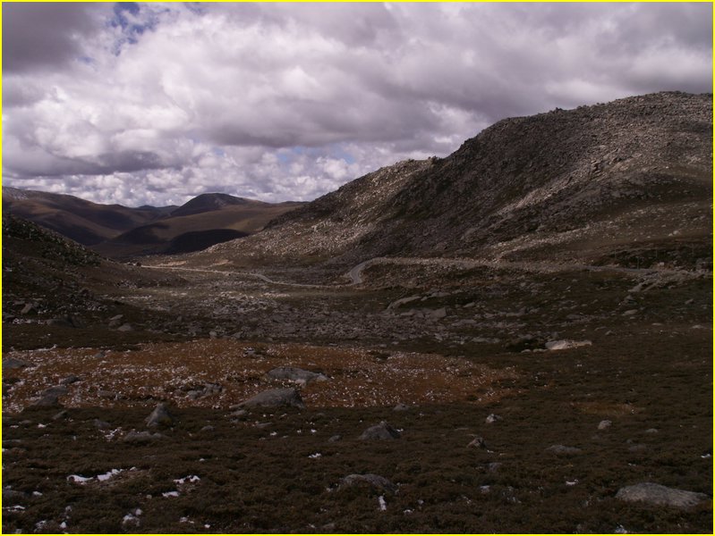 2442-Pict9750.jpg