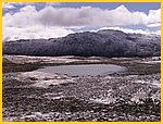 2493-Pict9938.jpg
