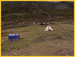 2517-Pict0109.jpg