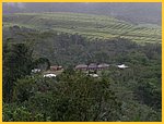 0637-Pict4646.jpg