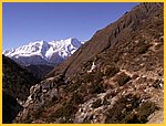 3353-Pict3063.jpg