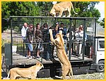 0263-Img_6062.jpg