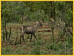 4467-Pict0843.jpg