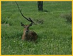 3814-Pict0291.jpg
