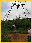 1333-Img_8010.jpg