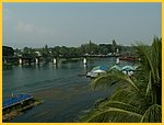 1556-Pict0010.jpg