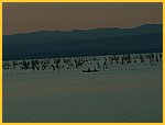 4028-Pict0077.jpg